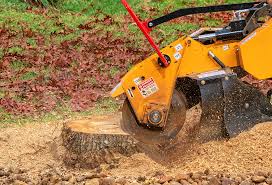 Atlanta, TX Tree Services Company