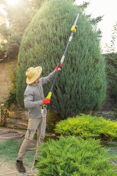 Best Soil Testing and Treatment  in Atlanta, TX